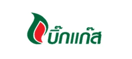 Partner Users