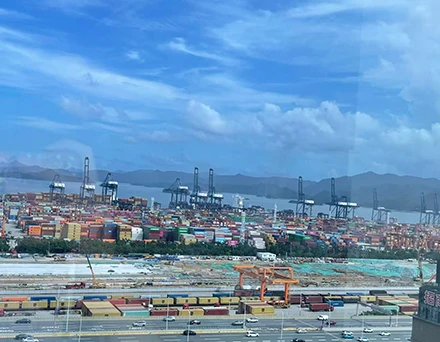 Overcoming the peak freight demand: Haomin Logistics successfully ensured the smooth customs clearance and shipment of multiple batches of bulk goods including 3C products, hardware items, and automotive parts.